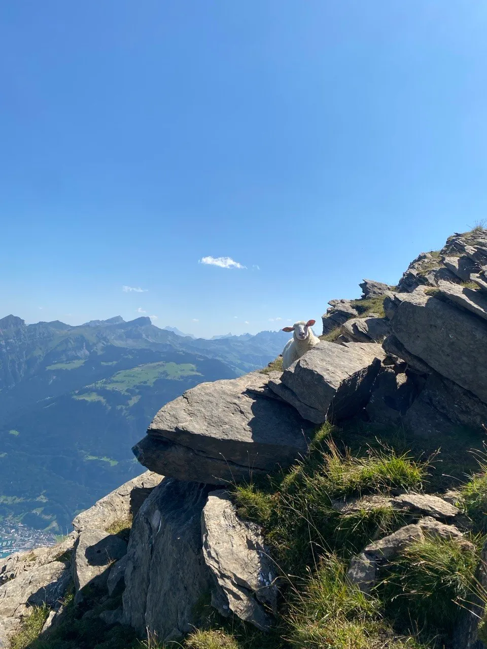 A sheep peeks out between rocks, with wide mountain ranges in the background.