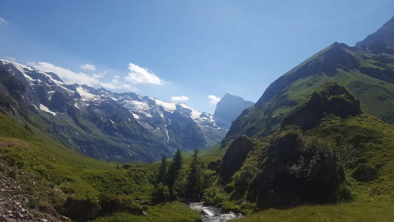 A mountain stream runs through a green high valley framed by snow-capped peaks and a prominent rock horn.