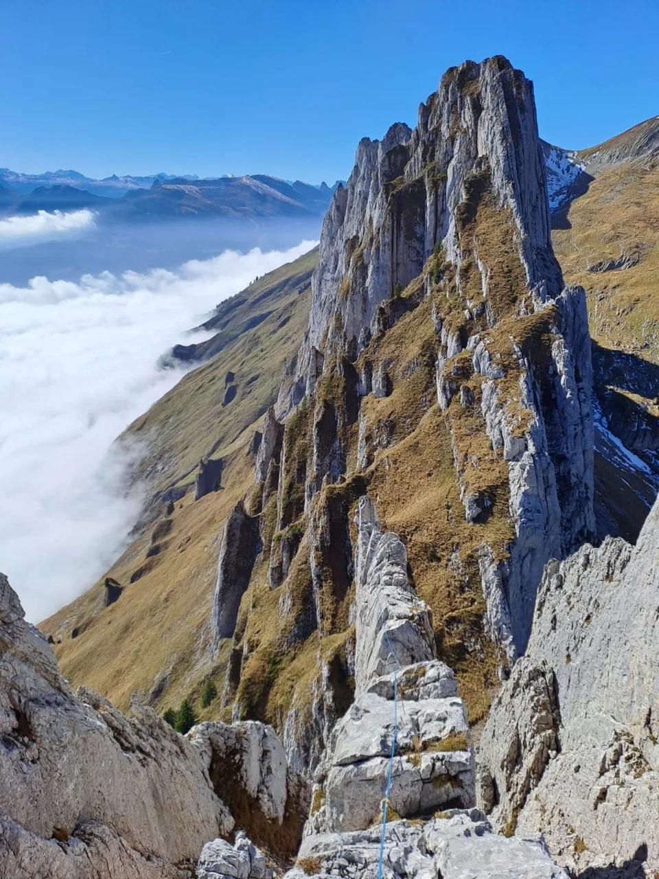 A serrated ridge of pale limestone fins dropping into a sea of fog, distant alps on the horizon.