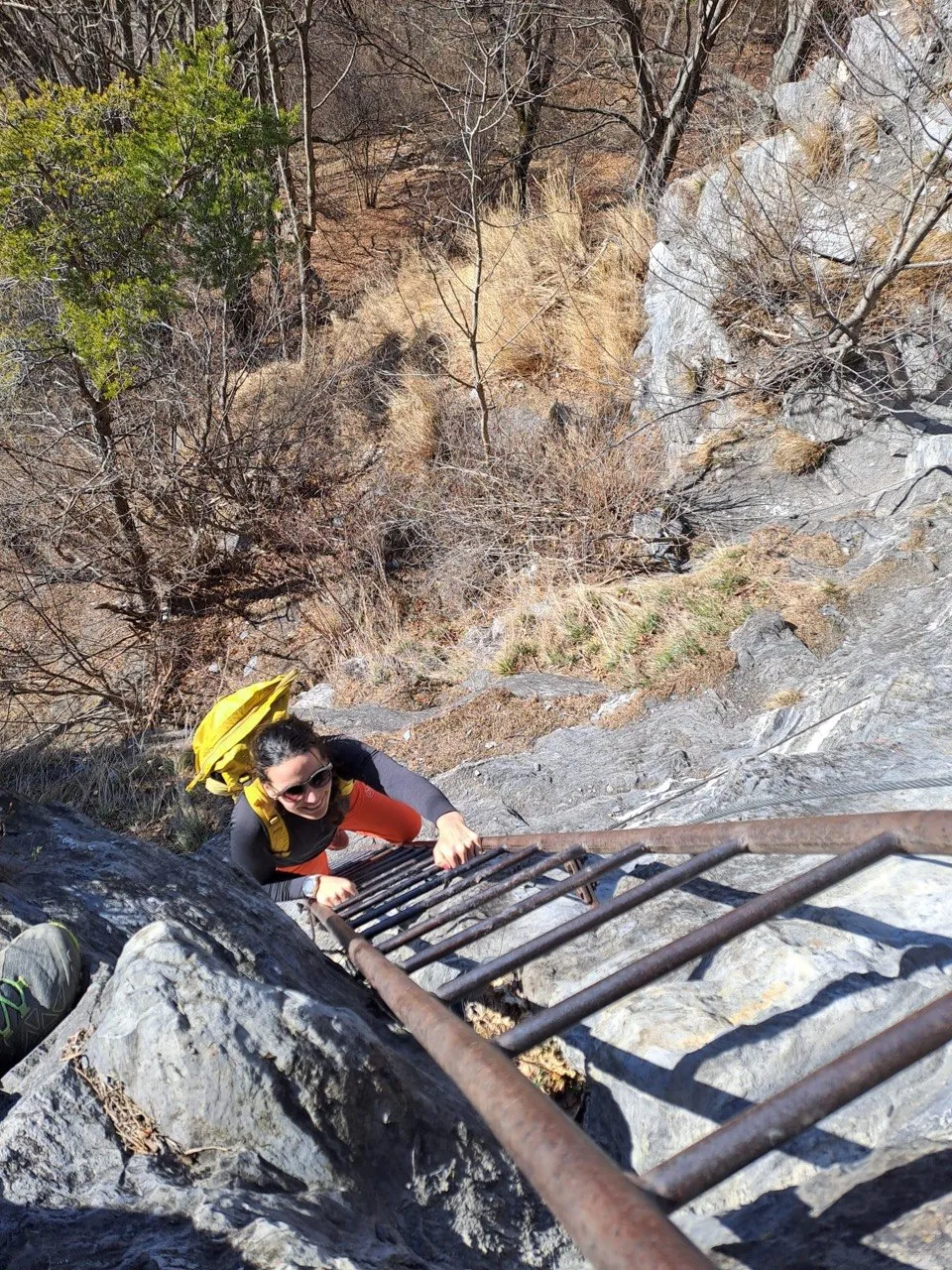 A climber ascends the 'Leiterli' — a metal ladder fixed to the rock face — surrounded by forest.