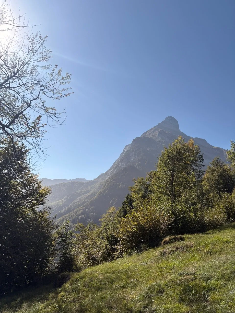 The pointed summit of Schartehöreli rises above autumn foliage into a blue sky.