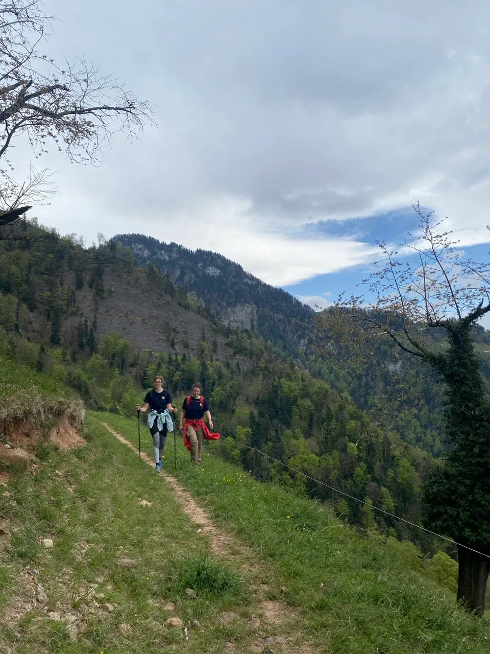Two hikers with poles walk a grassy path, a forested slope with a rock band behind them.