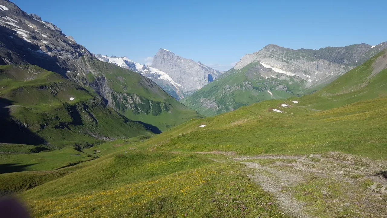 Wide view over gentle green alpine pastures down into a valley, ringed by rugged ranges with patches of snow.