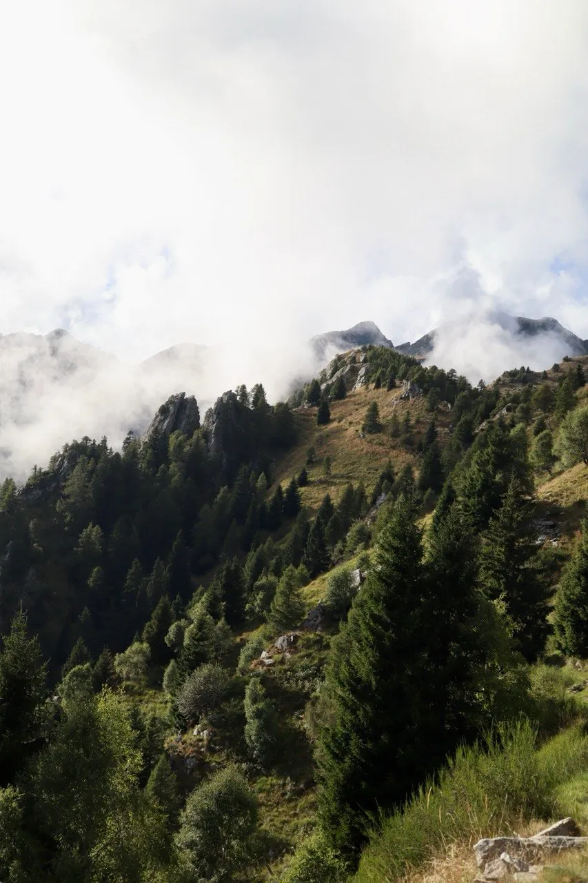 A forested ridge with rocky outcrops rising into drifting cloud.