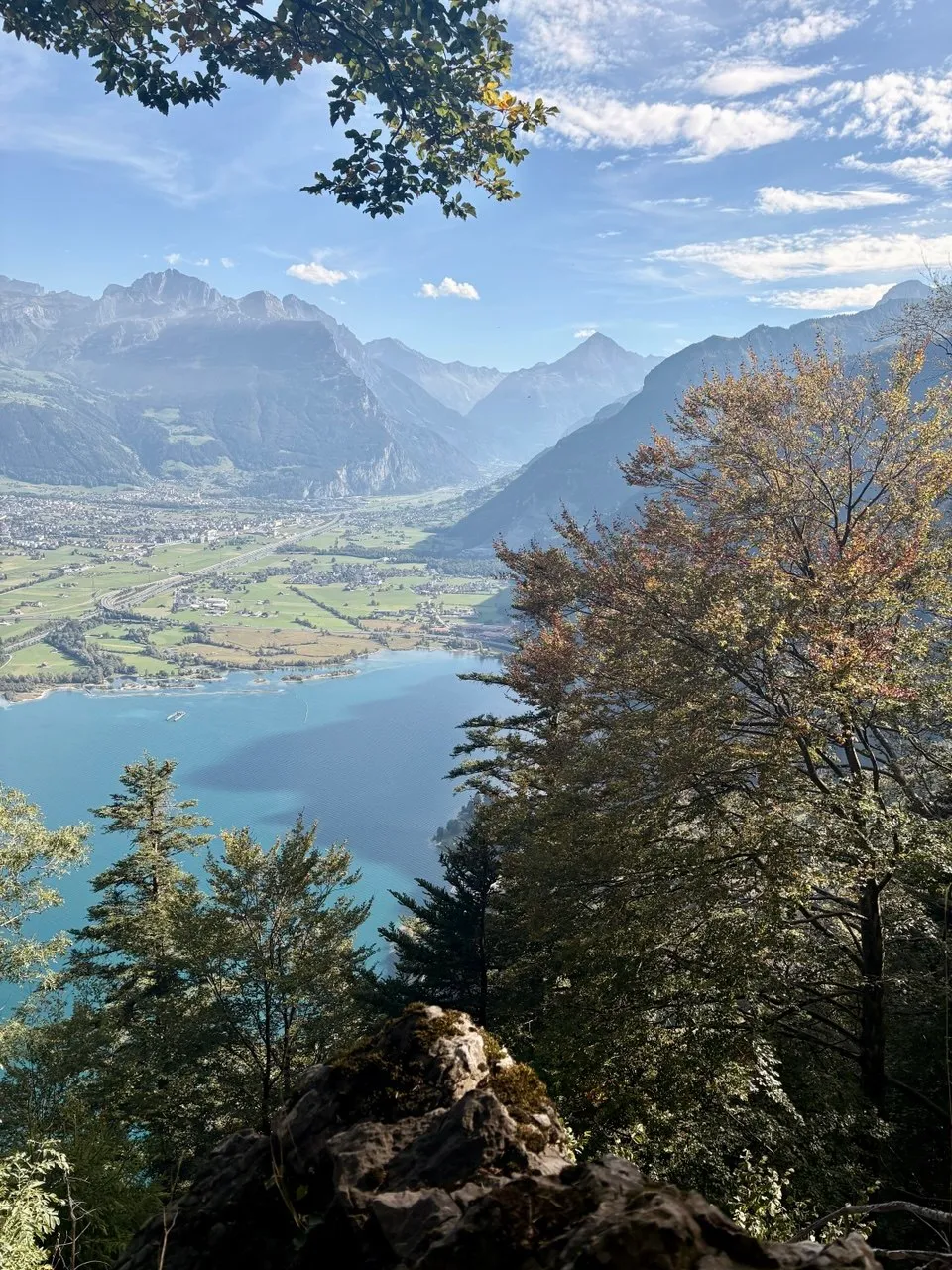 View through autumn-coloured leaves down onto the Reuss delta and the turquoise Lake Urnersee.