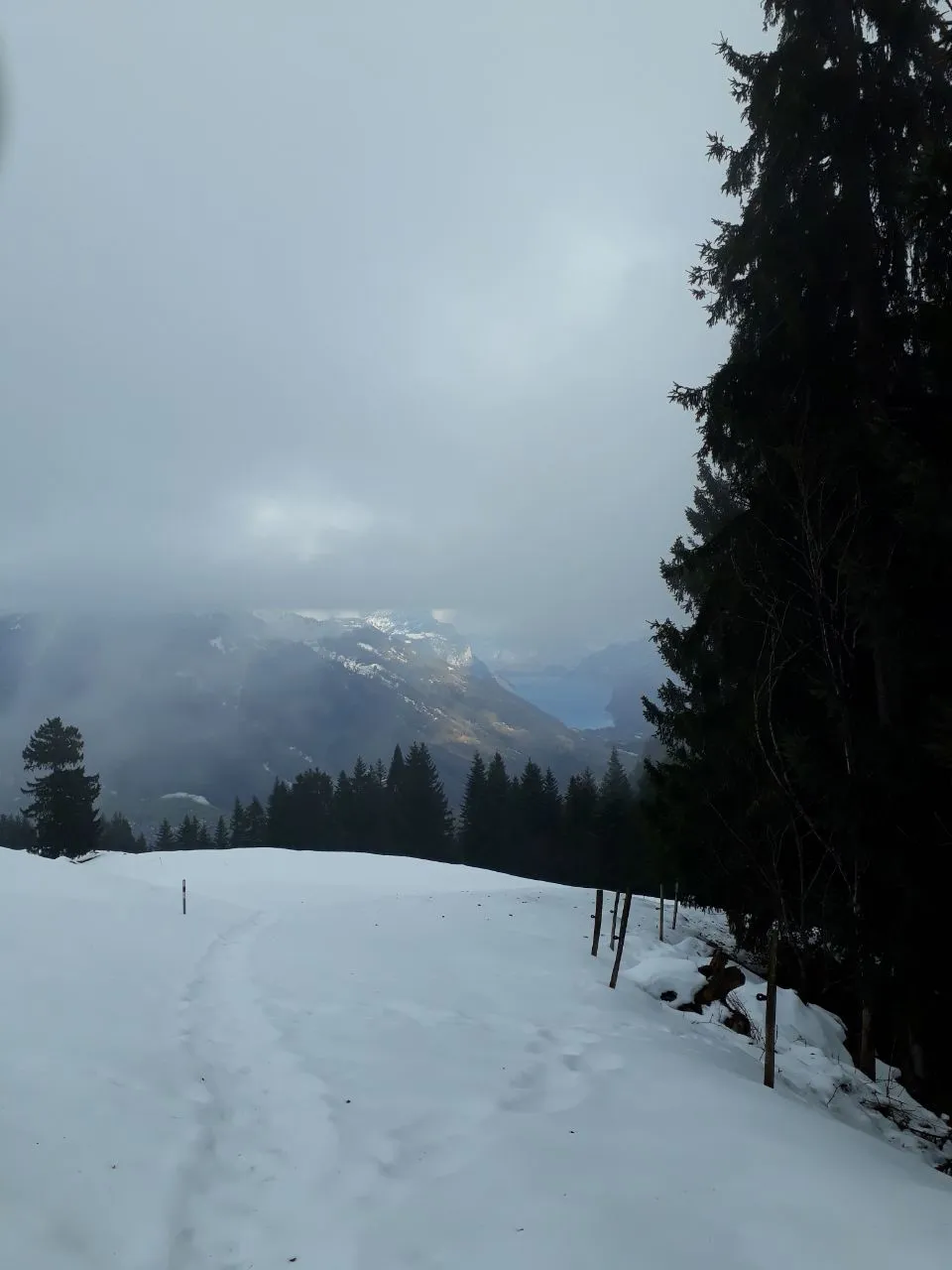 A snowshoe trail runs through deep snow at the forest edge, with snow-capped peaks and a deep-blue lake emerging from the clouds beyond.