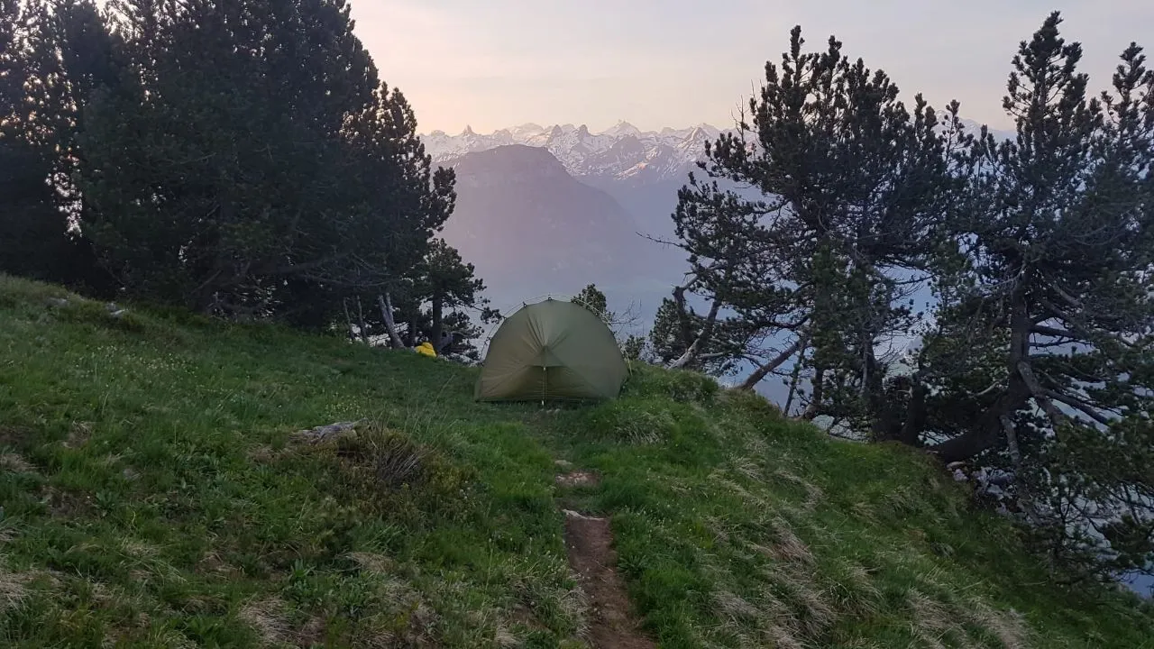 A small green tent pitched on a grassy shoulder among mountain pines, distant snowy peaks catching the first light of dawn.